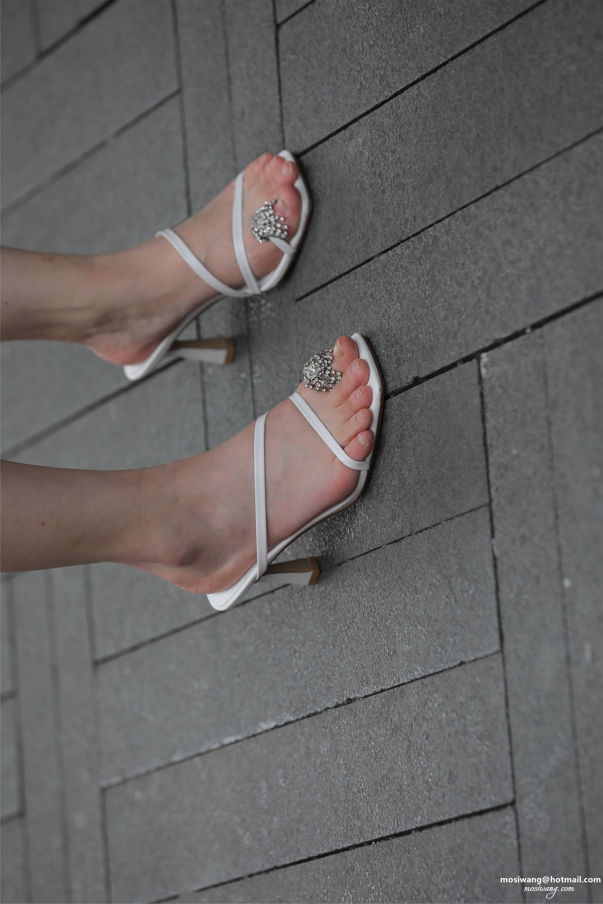 kacajp.cc-0059-给此邮箱发邮件：mosiwang@hotmail.com.jpg