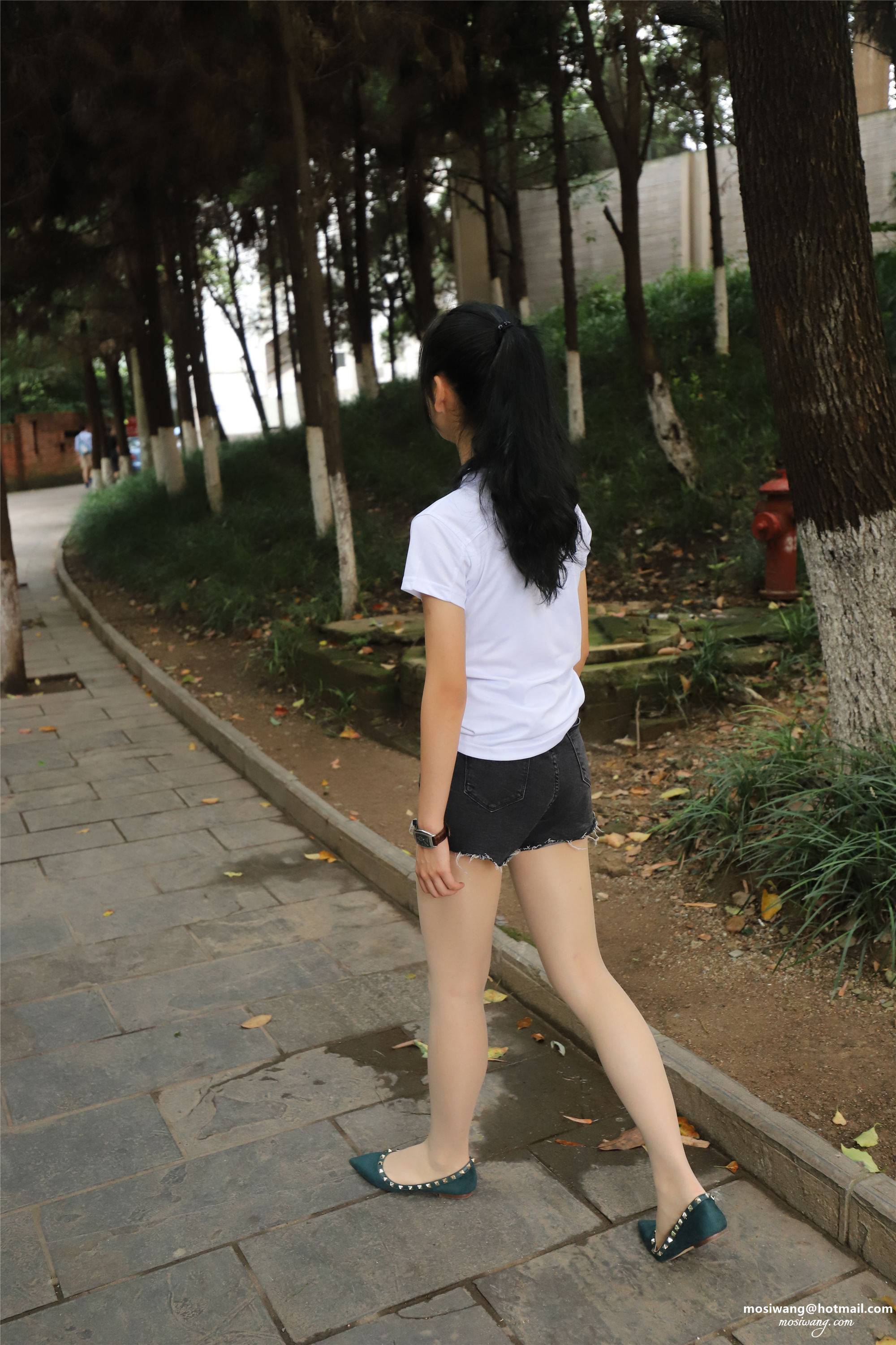 IMG_1385-给此邮箱发邮件：mosiwang@hotmail.com.JPG