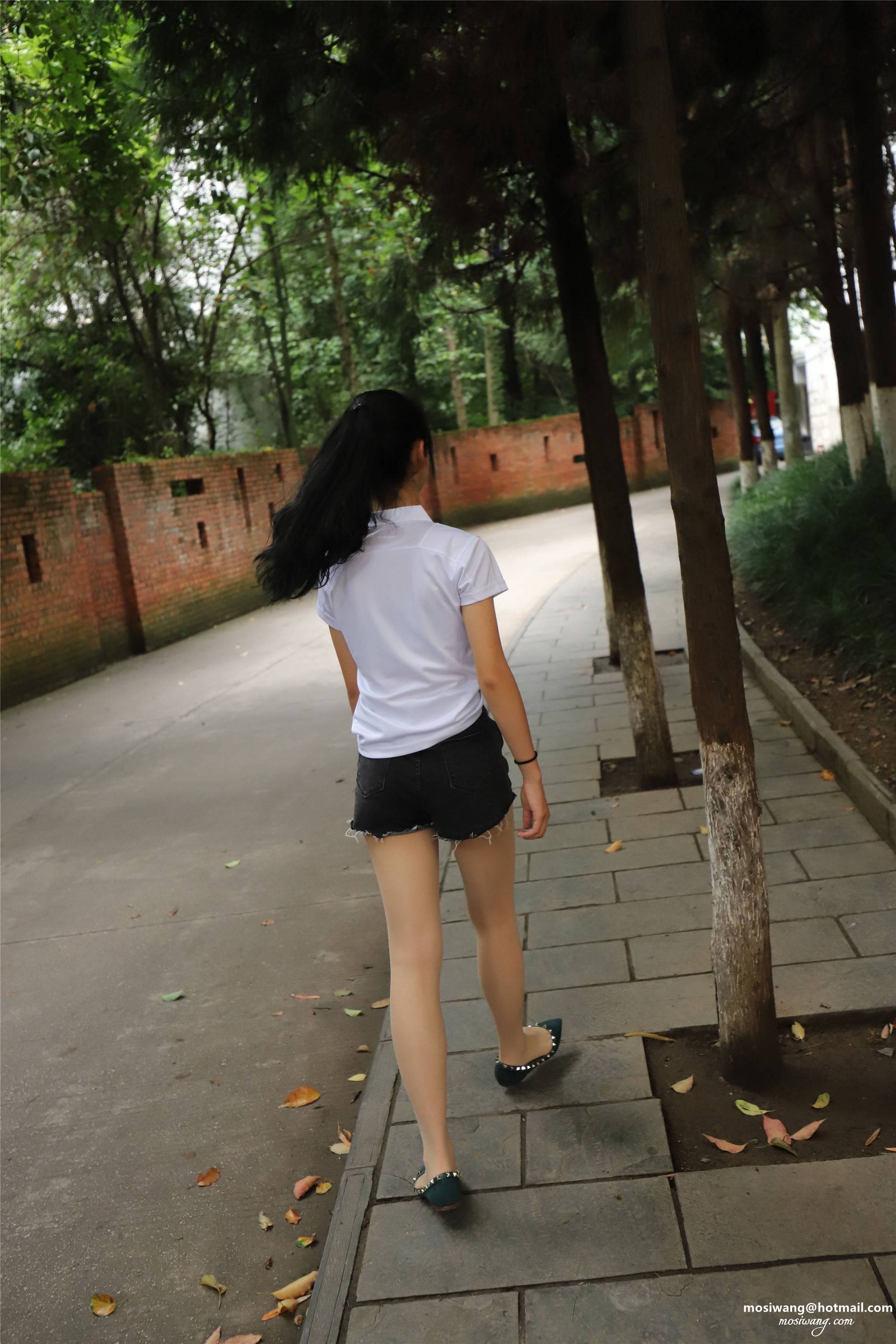 IMG_1396-给此邮箱发邮件：mosiwang@hotmail.com.JPG