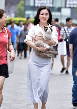 魔镜街拍美术馆大气唯美的美女与她可爱的宠猫猫